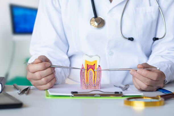 Best Walk-In Emergency Dental Services in Fort Lewis, WA